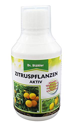 Dr. Stähler Zitruspflanzen Aktiv 500ml von Dr. Stähler