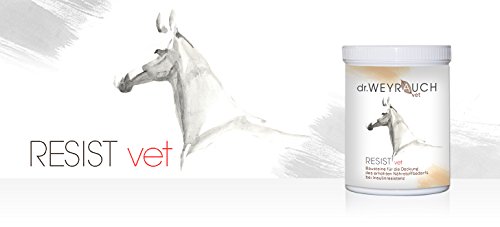 Dr. Weyrauch Resist Vet 1 kg Dr. Weyrauch Resist Vet 1 kg von Dr. Weyrauch