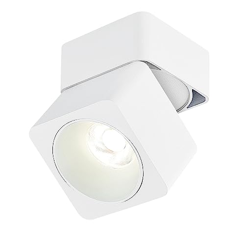 Dr.lazy 10W LED Aufbauleuchte Deckenleuchte, Deckenspots, wandleuchten, Deckenfluter, Deckenstrahler, DeckenLampe, Deckenbeleuchtung, Deckenleuchte, Aluminium (Weiß/Naturmweiß) von Dr.lazy