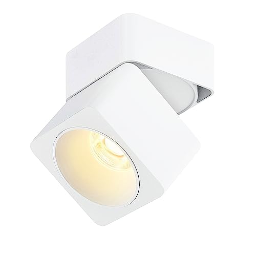 Dr.lazy 10W LED Aufbauleuchte Deckenleuchte, Deckenspots, wandleuchten, Deckenfluter, Deckenstrahler, DeckenLampe, Deckenbeleuchtung, Deckenleuchte, Aluminium (Weiß/Warmweiß) von Dr.lazy