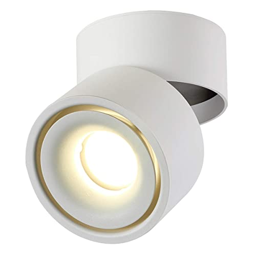 Dr.lazy 10W LED Aufbauleuchte Deckenleuchte, Deckenspots, wandleuchten, Deckenfluter, Deckenstrahler, DeckenLampe, Deckenbeleuchtung, Deckenleuchte, Aluminium von Dr.lazy