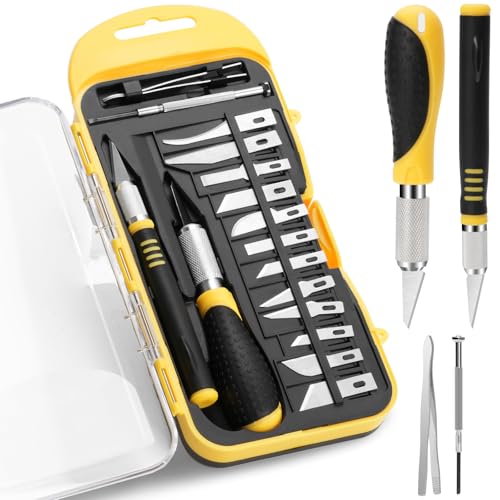 Drado 18 Stücke Skalpell Set, Carving Craft Messer Set, Präzision Bastelmesser Hobbymesser, 2 Tranchiermesser + 12 Klingen(Unterschiedliche Größe) + eine Pinzette + ein Schraubenzieher, DIY von drado