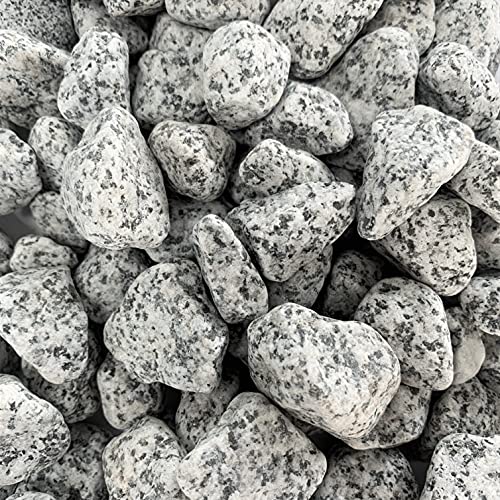 DRAGIMEX dio NATURSTEINE gerundet, Dekorationssteine, Granit 20-40mm, 1 kg. GRAU von DRAGIMEX