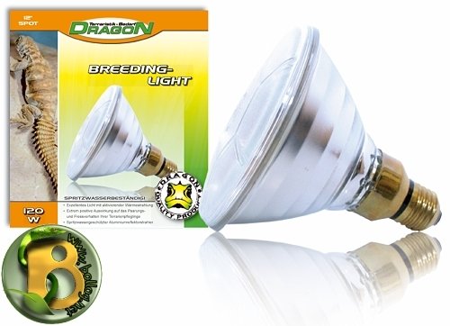 Dragon - Halogen Hochvolt Flood E27-120 Watt Breeding Light PAR38 von Dragon