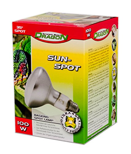 Dragon Sun Spot 100W von Dragon