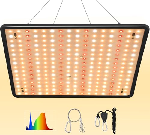 DragonLight 2024 Neueste EW1000 LED Grow Lampe Vollspektrum mit UV IR Pflanzenlampe LED mit 3 Meter Kabel für Zimmerpflanzen und Gewächshaus Gemüse und Blumenanbau für Growzelt 60x60cm von DragonLight