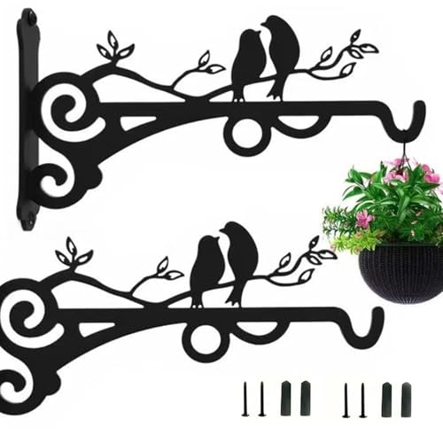 DragonX2 2 Stück Blumenampel Halterung Metall, 20cm Blumenampel Vogelhäuschen Wandhalter Haken, Blumentopf Wandhalterung, Geeignet Für Gartendekoration, Blumentöpfe, Lichterkette von DragonX2