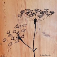 Bärenklau/Bärentatze/Bergfench/Zweig Mit Zwei Blüten/Blumen Aus Draht/Dekorationsobjekt/Drahtkunst/Langlebig/Boho Style/Drahtblume von Drahtinform