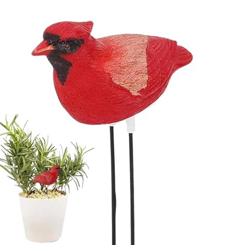 Dranng Bodenfeuchtigkeitsmessgerät,Vogelform Feuchtigkeitsmesser Für Pflanzen - Pflanzen Feuchtigkeitsmesser Harz Deko für Rasen Gewächshaus Farm Bonsai Zimmerpflanzen Topfpflanzen Dranng Bodenfeuchtigkeitsmessgerät,Vogelform Feuchtigkeitsmesser Für Pflanzen - Pflanzen Feuchtigkeitsmesser Harz Deko für Rasen Gewächshaus Farm Bonsai Zimmerpflanzen Topfpflanzen von Dranng