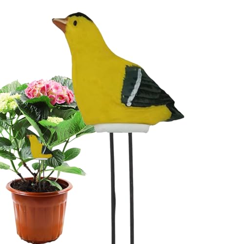 Dranng Bodenfeuchtigkeitsmessgerät | Vogelform Feuchtigkeitsmesser Für Pflanzen | Pflanzen Feuchtigkeitsmesser Harz Deko für Rasen Gewächshaus Farm Bonsai Zimmerpflanzen Topfpflanzen Dranng Bodenfeuchtigkeitsmessgerät | Vogelform Feuchtigkeitsmesser Für Pflanzen | Pflanzen Feuchtigkeitsmesser Harz Deko für Rasen Gewächshaus Farm Bonsai Zimmerpflanzen Topfpflanzen von Dranng