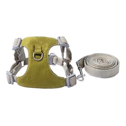 Dranng Geschirr Medium Für Hunde | Hundegeschirr Mit Führleine | Atmungsaktive Oxford Weste Für Hunde, Verstellbares Zubehör Für Kleine Mittelgroße Und Große Rassen Outdoor Spaziergänge von Dranng