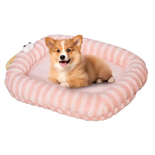 Dranng Große Katzenbetten | Wärmendes Katzen Sofa Hundebett Für Hunde | Große Schlafmatte Nest Für Herbst Winter Haustier Welpen Kitten | Indoor Outdoor Schlafplatz Zuhause Deko Wohnzimmer Dranng Große Katzenbetten | Wärmendes Katzen Sofa Hundebett Für Hunde | Große Schlafmatte Nest Für Herbst Winter Haustier Welpen Kitten | Indoor Outdoor Schlafplatz Zuhause Deko Wohnzimmer von Dranng