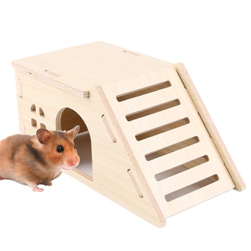 Dranng Hamsterhaus - Hamsterkäfig Mit Leiter | Nagfestes Interaktives Zubehör Kleintierhütte Für Ruhen Klettern Bewegung Futtersuche Dranng Hamsterhaus - Hamsterkäfig Mit Leiter | Nagfestes Interaktives Zubehör Kleintierhütte Für Ruhen Klettern Bewegung Futtersuche von Dranng