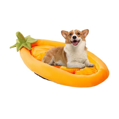 Dranng Hundebett Für Welpen,Lila Kätzchen Bett - Waschbares Wärmendes Haustiernest Für Innen Außen Garten Box Auto Reisen Wohnung Ecke Dranng Hundebett Für Welpen,Lila Kätzchen Bett - Waschbares Wärmendes Haustiernest Für Innen Außen Garten Box Auto Reisen Wohnung Ecke von Dranng