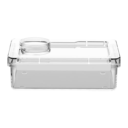 Dranng Reptilien Futternapf | Futternapf Für Bartagamen,Futterstelle Für Reptilien Und Amphibien Terrarium Geckos Chamäleons Frösche Echsen Schildkröten Dranng Reptilien Futternapf | Futternapf Für Bartagamen,Futterstelle Für Reptilien Und Amphibien Terrarium Geckos Chamäleons Frösche Echsen Schildkröten von Dranng