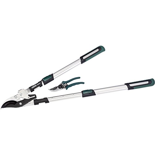DRAPER EXPERT 36823 Teleskop Soft Grip Bypass Ratschen-Astschere UND Bypass-Gartenschere-Set DRAPER EXPERT 36823 Teleskop Soft Grip Bypass Ratschen-Astschere UND Bypass-Gartenschere-Set von Draper