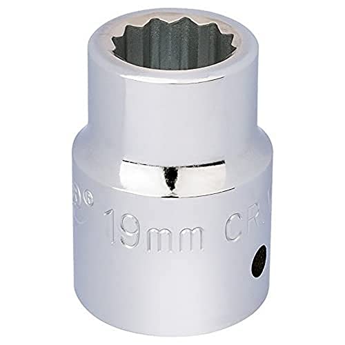 Draper T-MM/B 3/4-Zoll-Vierkantantrieb, 12-Kant-Stecknuss (19 mm), blau, 19 mm von Draper