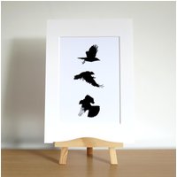 Krähe Kunstdruck Mit Passepartout Moderne Schwarz-Weiße Vogelzeichnung von DrawingInDark