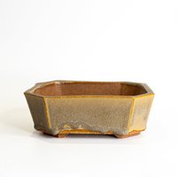 Achteckiger 7, 25-Zoll-Bonsai-Topf Aus Glasiertem Steinzeug von DraytonMujo