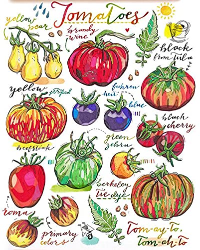 Dreacoss Blechschild Retro Schild Tomate Food Art Küche Dekor Garten Sommer Bunt Regenbogen Obst Gemüse Bio Gartenarbeit von Dreacoss