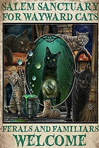Dreacoss Blechschild mit Katzen-Hexe Salem Sanctuary, Wandkunst, Dekoration, Schild, Bar, Club, Café, Hotel, Heimdekoration, Retro-Poster, Vintage, Metallblechschild, Aluminiumschild, 30,5 x 20,3 cm Dreacoss Blechschild mit Katzen-Hexe Salem Sanctuary, Wandkunst, Dekoration, Schild, Bar, Club, Café, Hotel, Heimdekoration, Retro-Poster, Vintage, Metallblechschild, Aluminiumschild, 30,5 x 20,3 cm von Dreacoss