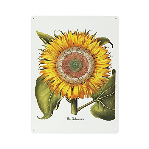 Dreacoss Metallschild mit SonnenblumenMotiv, Motiv: Basilius Besler – Botanische Blume, Geschenk, Retro, lustig, VintagePoster, Wandkunst für Küche, Garten, Badezimmer, Bauernhof, Heim, Kaffee, von Dreacoss