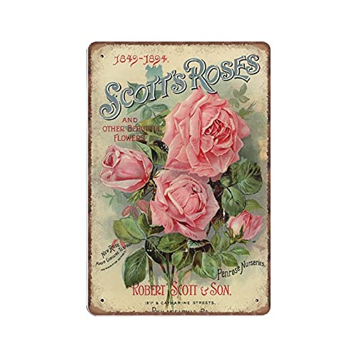 Dreacoss Vintage Blumen Blechschilder rosa Rosen Blumen Blumen Natur Pflanzen Küche Garten viktorianisch lustig Vintage Metall Blech Schild Plaqu Poster Wandkunst Pub Bar Küche Garten Badezimmer Home von Dreacoss