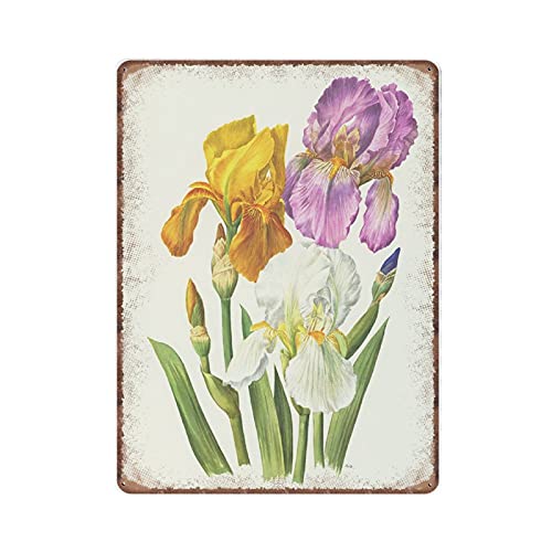 Yellow Iris Blechschilder – 1964 Vintage Botanische Kunst – Lila Iris Blume Wanddekoration – Weiß Shabby Chic – Französische Geschenke Lustiges Metallschild Poster Wand Küche Garten Badezimmer von Dreacoss