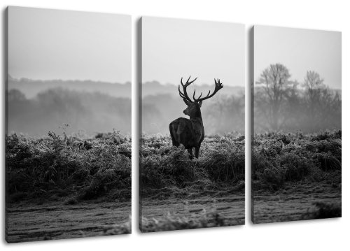 Dream-Arts - Hirsch Motiv, 3-teilig auf Leinwand (120x80 cm), Hochwertiger Kunstdruck als Wandbild, Billiger als ein Ölbild! ACHTUNG KEIN Poster oder Plakat! von Dream-Arts