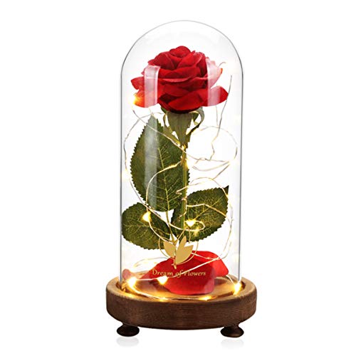 Weihnachtsblumen Geschenke Die Schöne und das Biest Rose Kit, Rote Seide Rose hält ewig, mit warmweißen WeihnachtsLED-Lichtern, romantische Geschenke für sie, einzigartiges Geschenk von Dream of Flowers