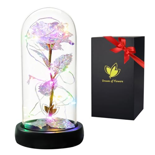 Weihnachts-Rose Geschenk für Sie, Geburtstagsgeschenke, Die Schöne und das Biest Rose Blumen, LED-Lichter in Glaskuppel auf Holzsockel, konservierte Rose Geschenk für Sie von Dream of Flowers