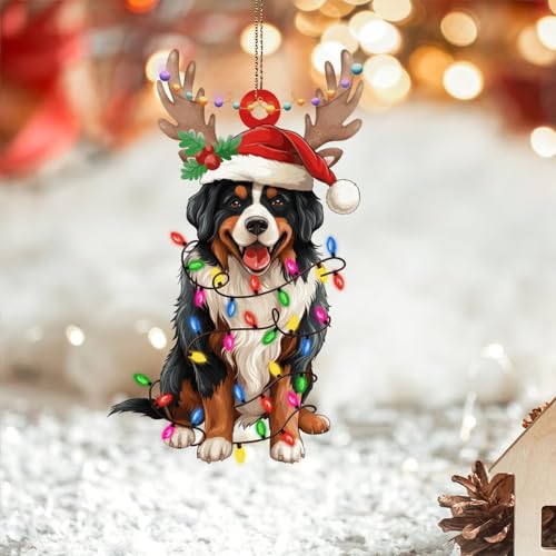 Niedliches Weihnachtsgeweih Hund Berner Sennenhund 2D Acryl Weihnachtsschmuck – Haustier Hund Andenken – Hängende Ornamente für Weihnachtsbäume Kugeln Neujahr Urlaub Souvenir Strumpffüller Geschenke von DreamAutumn