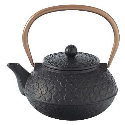 Japanische Teekanne aus Gusseisen mit Sieb, 1 L | verschiedene Teekessel Modelle Eisenguss, Keramik, Steingut | Japan Kanne, asiatisch, chinesisch, Eisen Japanese Cast Iron Teapot für Tee Guss schwarz von DreamHouse