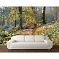 Herbst Wald Wandbild, Wald Wandbehang, Peel & Stick Bäume Wandbehang, Wandkunst, Holz Wand Deko, Abnehmbares Blatt von DreamVinyl