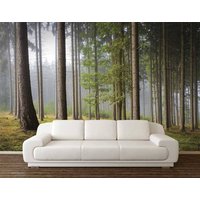 Zauberwald Tapete, Nebel Wald Wand Wandbild, Wandbehang, Bäume Wandkunst, Wald Wand Deko, Gras Gobelin von DreamVinyl