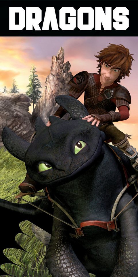 DreamWorks Strandtuch How To Train Your Dragon Badetuch Handtuch Strandtuch 70 x 140 cm von DreamWorks