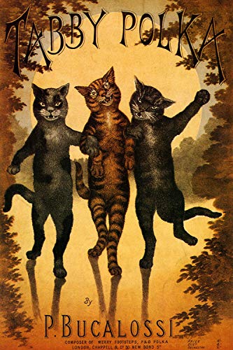 Dreamawsl Retro Metal Poster Series - Tabby Polka Bucalossi Noten Cover - Werbeposter Blechschild Metalllandschaft Charakter Poster 30,5 x 20,3 cm von Dreamawsl