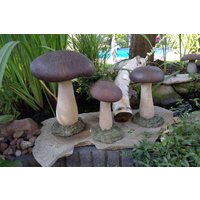 Betonpilze, Auch Für Den Garten von DreamyPearl