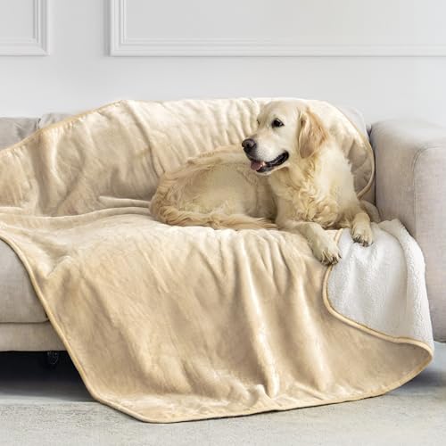 Dreamzie - wasserdichte Decke 127x152 cm - Hundedecke Sofa und Bett - Reversible Decke Wasserdicht aus Sherpa-Fleece – Waschbar – Beige Dreamzie - wasserdichte Decke 127x152 cm - Hundedecke Sofa und Bett - Reversible Decke Wasserdicht aus Sherpa-Fleece – Waschbar – Beige von Dreamzie