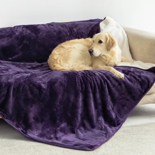 Dreamzie - wasserdichte Decke 127x152 cm - Hundedecke Sofa und Bett - Reversible Decke Wasserdicht aus Sherpa-Fleece – Waschbar – Violett von Dreamzie