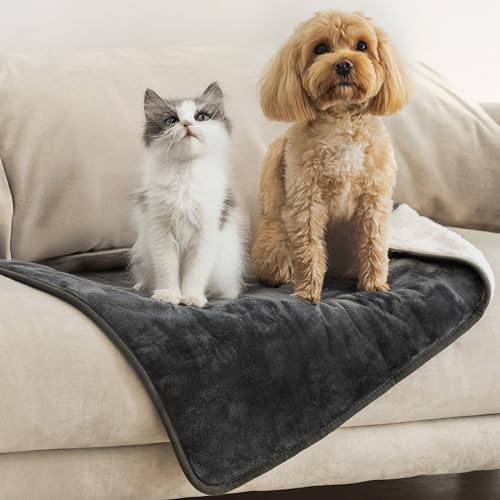 Dreamzie - wasserdichte Decke 63x88 cm - Hundedecke Sofa und Bett - Reversible Decke Wasserdicht aus Sherpa-Fleece – Waschbar – Dunkelgrau von Dreamzie