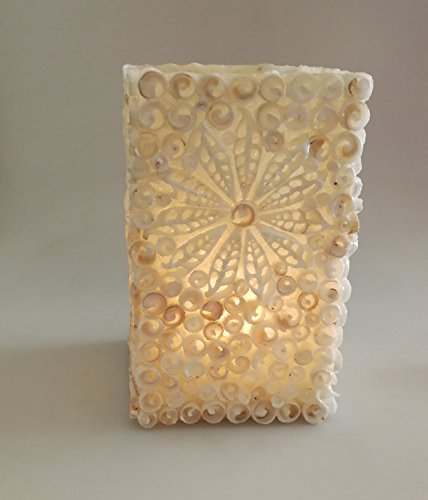 Dremic S.L. Handgefertigtes cremefarbenes Windlicht mit Muscheln dekoriert - Muschelhülle - Fiberglas mit Schneckenmuscheln, Farbe:Creme Dremic S.L. Handgefertigtes cremefarbenes Windlicht mit Muscheln dekoriert - Muschelhülle - Fiberglas mit Schneckenmuscheln, Farbe:Creme von Dremic S.L.
