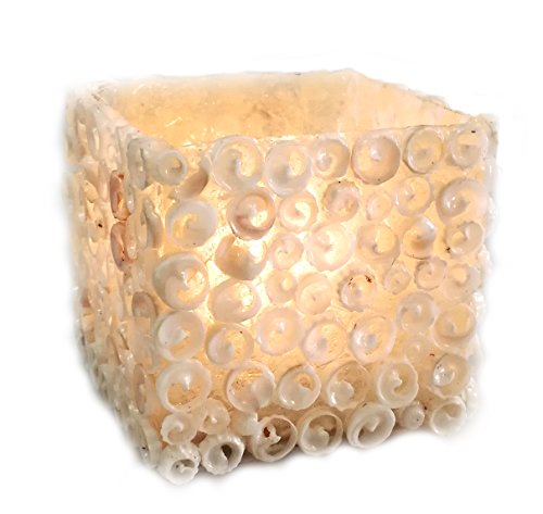Dremic S.L. Windlicht in Spanien handgefertigt - Bruchfester Fiberglascubus mit echten Muscheln in Schneckenform dekoriert - Länge ca.8 cm, Höhe ca. 8 cm, Farbe:Creme von Dremic S.L.