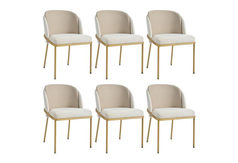 Drenice Stuhl Moderner Stuhl mit Schrägstuhlbein und Verstellbare Füße (Ideal für Zuhause, Offene Bürofläche, Esszimmer, 6 St) von Drenice