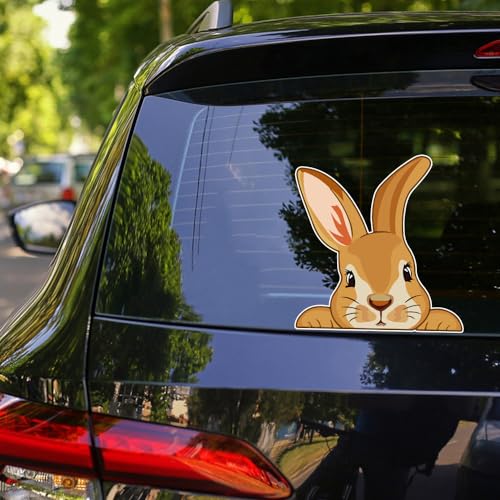 Dreothy Osterhasen-Dekoration, wasserdicht, Vinyl, Kaninchen, Ostern, Autofenster-Aufkleber, Auto, LKW, Motorrad, Laptop, Stoßstangen-Aufkleber (Stil 4) von Dreothy