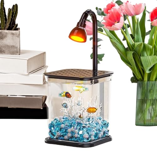 Dreuhuing Betta Aquarium, kleines Aquarium, Angelschale, Desktop-Dekoration, Wasserlandschaftsbau, transparente Desktop-Spinne, Zuhause für , Outdoor, Tisch, Büros Dreuhuing Betta Aquarium, kleines Aquarium, Angelschale, Desktop-Dekoration, Wasserlandschaftsbau, transparente Desktop-Spinne, Zuhause für , Outdoor, Tisch, Büros von Dreuhuing