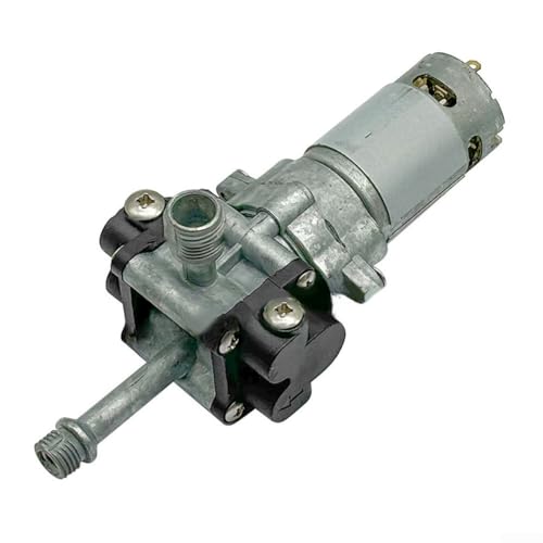 Kolbenpumpe mit Metallmotor für effiziente Hochdruck-Autowäsche und Gartenbewässerungsanwendungen (A) von Drhomeam