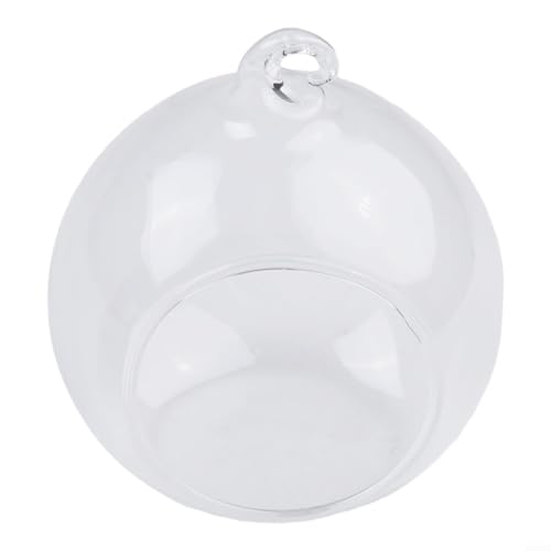 Drhomeam Minimalistisches Terrarium mit Glaskugel für Innengärten und besondere Anlässe (8 cm) von Drhomeam