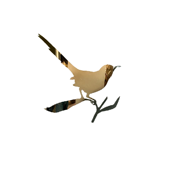 Taylor Bird Spiegel, Driade von Driade