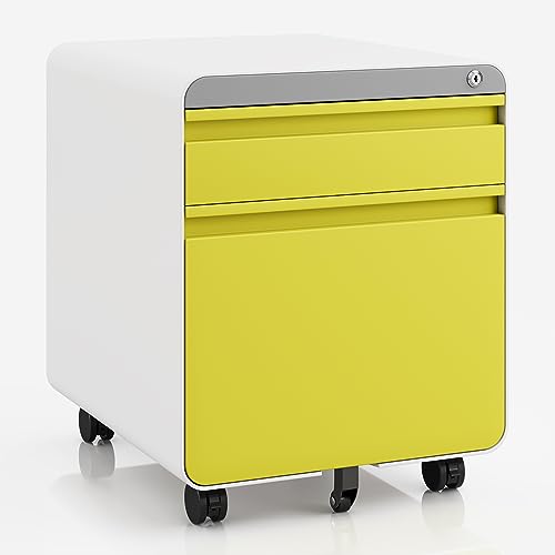 Dripex Metall Rollcontainer Stahl Rollcontainer mit 2 Schubladen und Hängeregistratur Abschließbarer Büroschrank Bürocontainer 5 Räder Aktenschrank 40 x 45 x 50 cm von Dripex